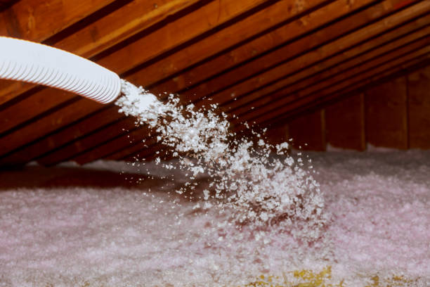 Best Specialty Insulation in Huachuca City, AZ