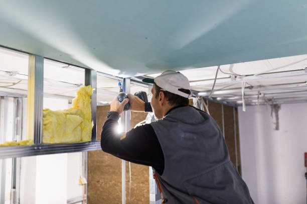 Best Insulation Maintenance and Repair in Huachuca City, AZ